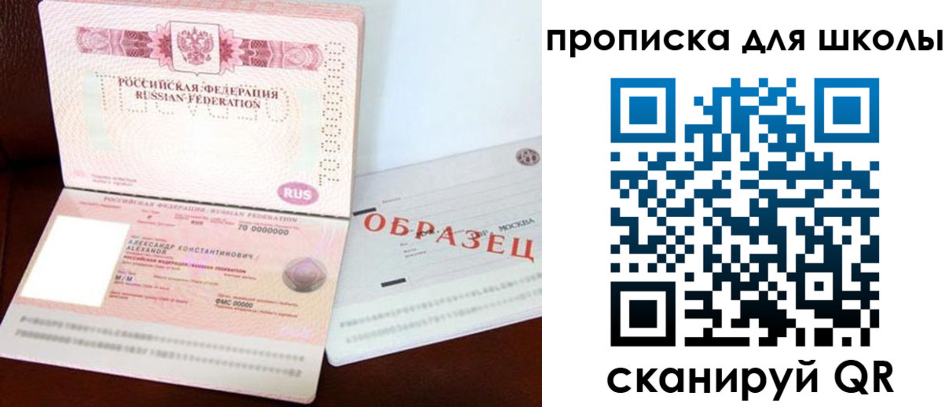 прописка для школы в Сельцо